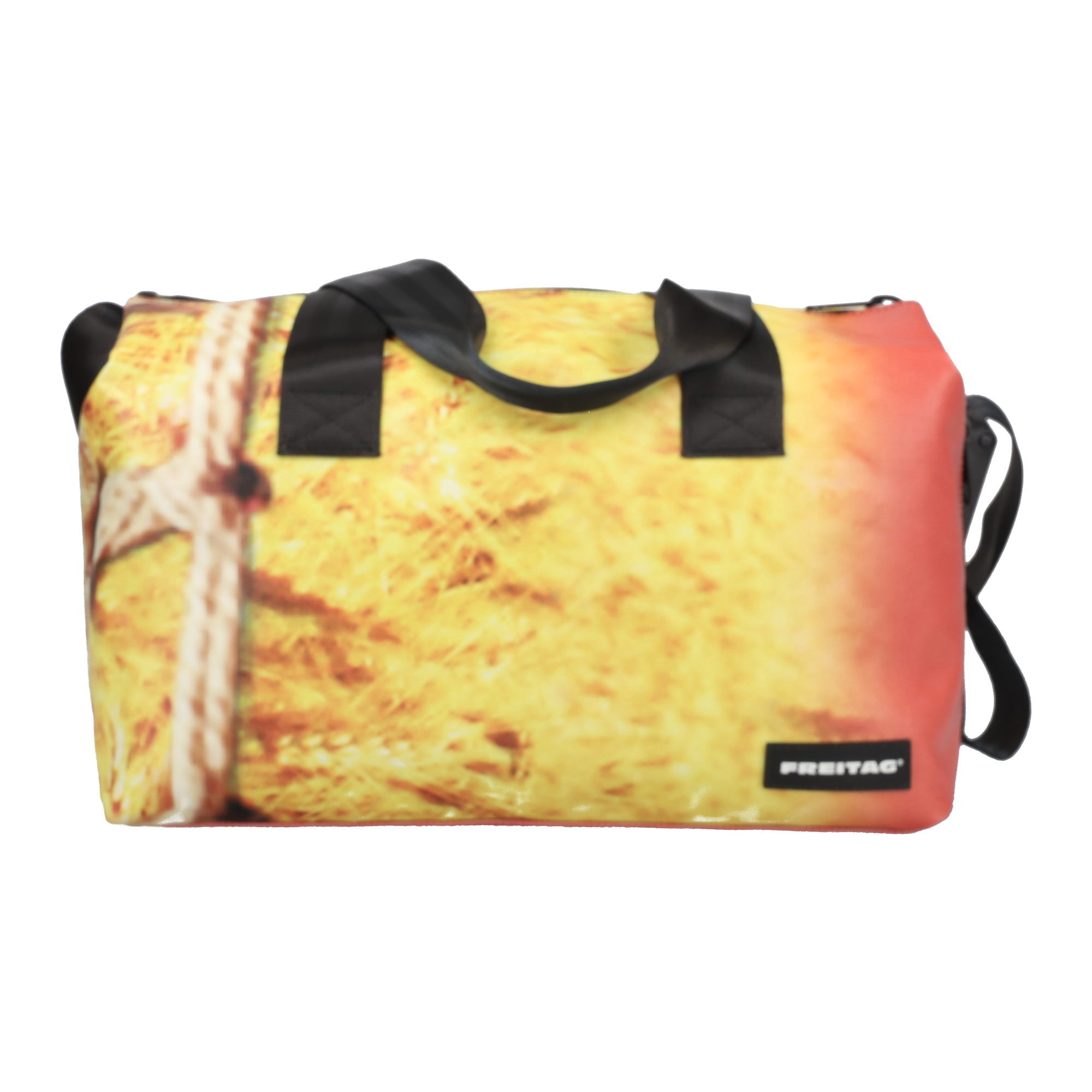F45 LOIS | 022414 | FREITAG