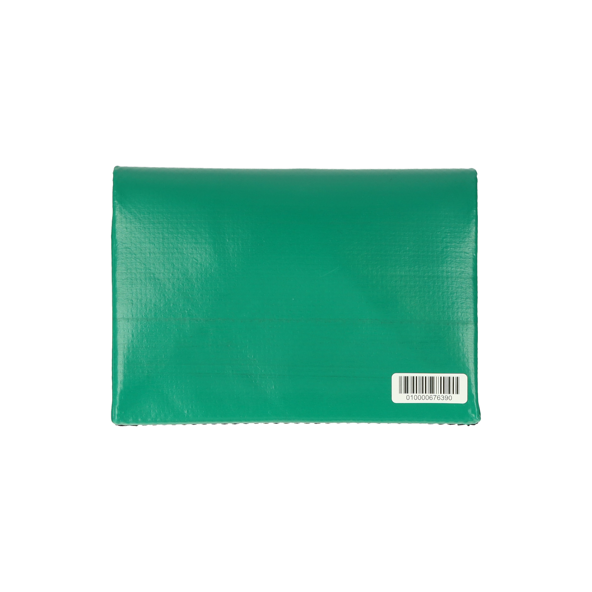 F51 DALLAS | 676390 | FREITAG